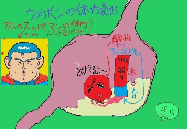 2025-04-22-umeboshi-tainai-arukari-henka.jpg